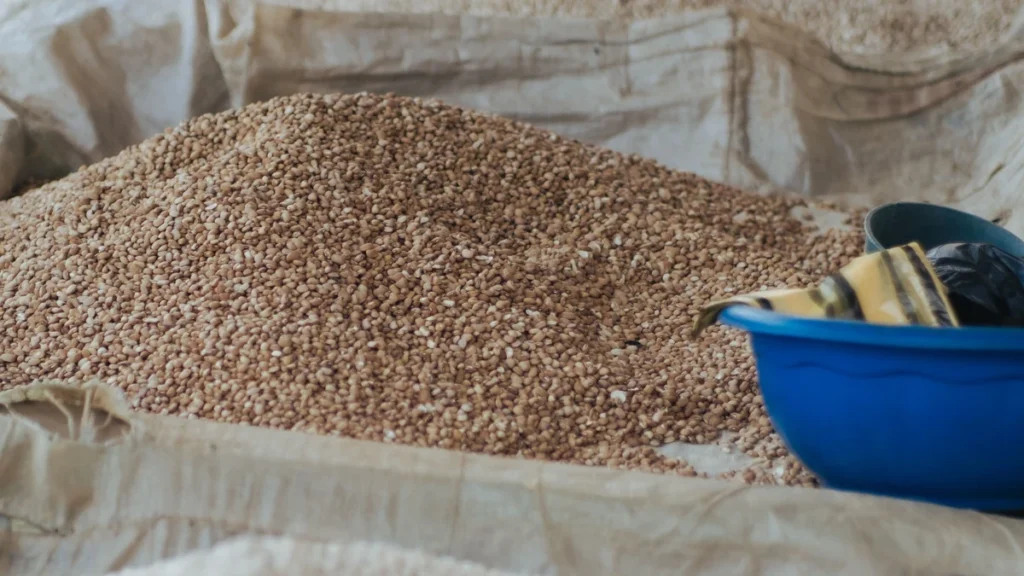 Open sacks of grains displayed at a market in Ilorin, Nigeria.