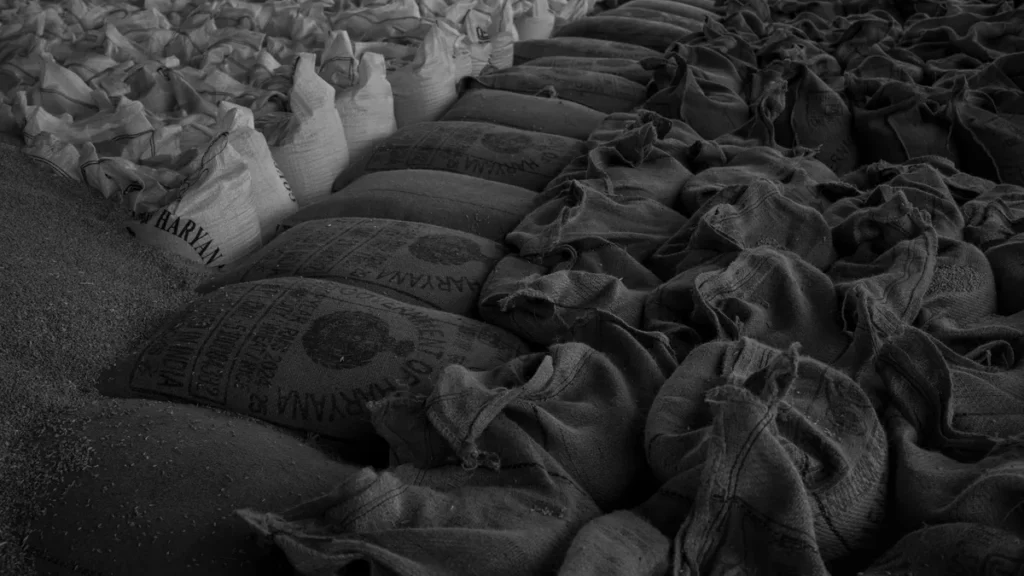 Rows of grain sacks in bulk storage.
