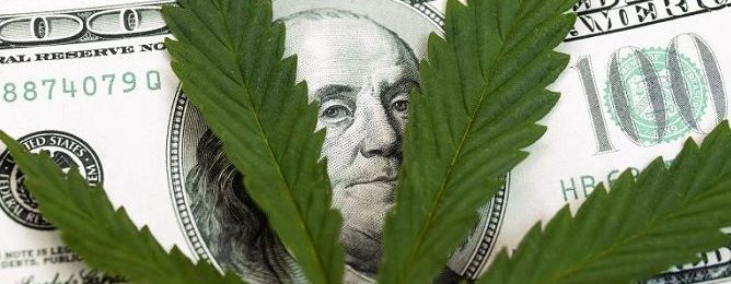 Cannabis Stocks