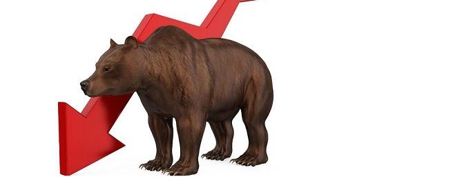 Bear Market & Investors
