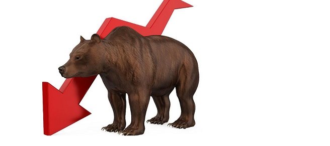 Bear Market & Investors