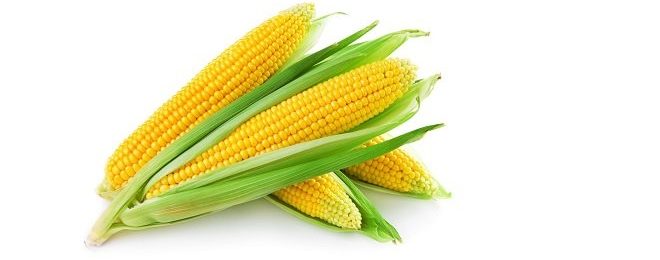 Corn Futures
