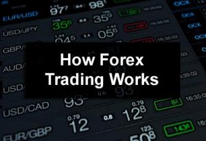 How Forex Trading Works