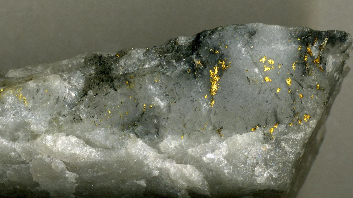Gold-bearing quartz from the Cadillac mining district in Quebec's Abitibi region.
