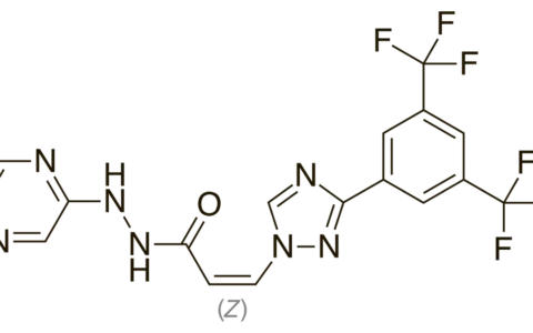 Skeletal structural formula of selinexor, the active ingredient in XPOVIO.