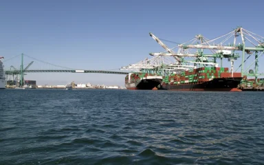 Container ships and port cranes at the Port of Los Angeles.