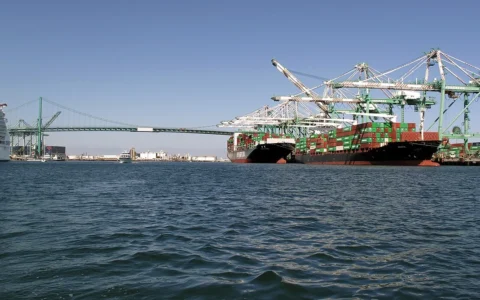 Container ships and port cranes at the Port of Los Angeles.