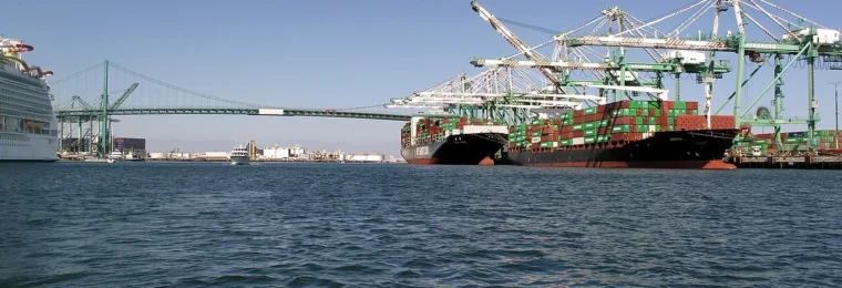 Container ships and port cranes at the Port of Los Angeles.