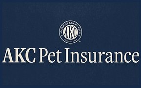 AKC Pet Insurance