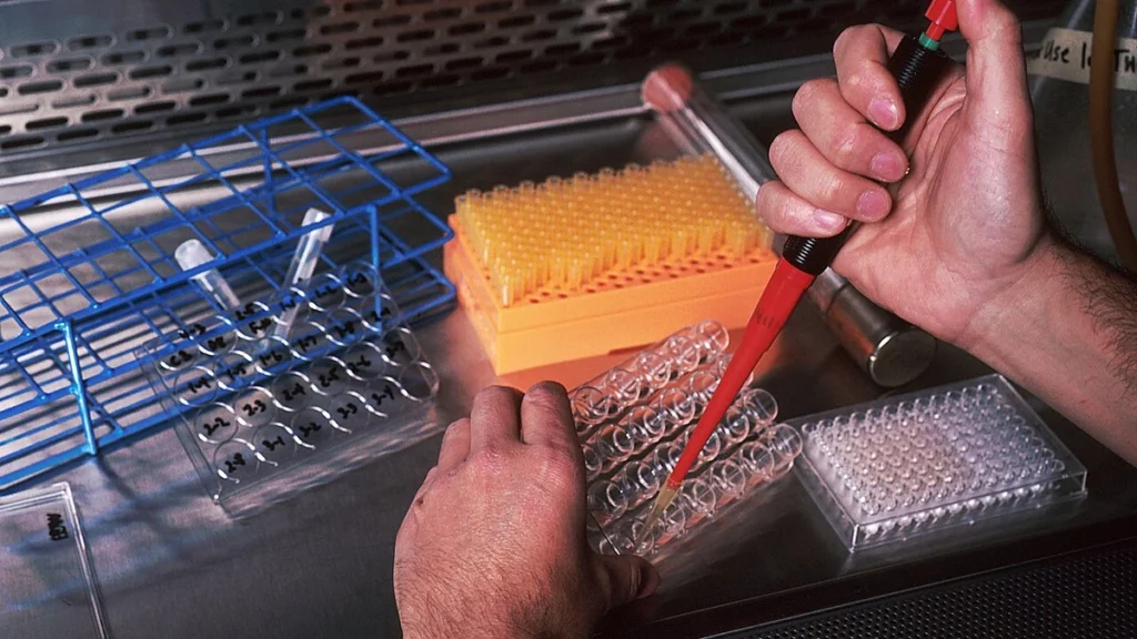 Laboratory worker using a pipette during monoclonal antibody research.