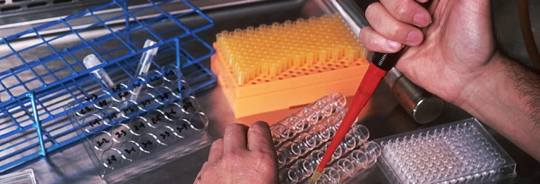Laboratory worker using a pipette during monoclonal antibody research.