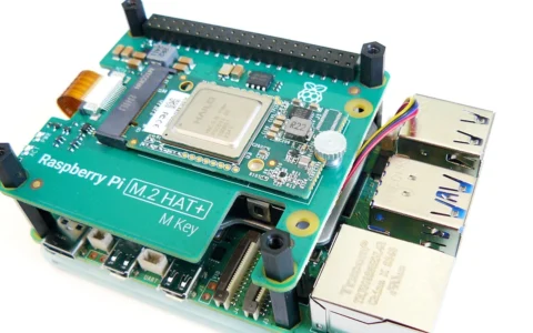 Hailo AI accelerator module mounted on a Raspberry Pi 5 via an M.2 adapter.