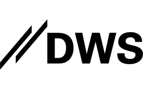 DWS Group logo on a white background.