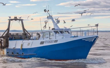 Blue and white fishing boat returning to the port at Le Grau-du-Roi, France, with seabirds flying overhead.