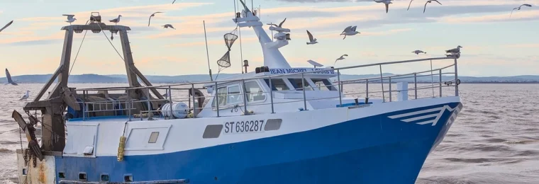 Blue and white fishing boat returning to the port at Le Grau-du-Roi, France, with seabirds flying overhead.