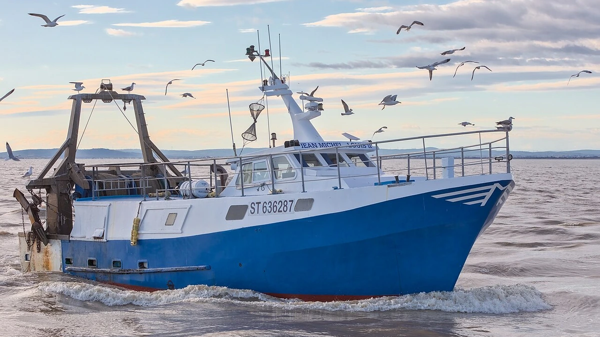 Blue and white fishing boat returning to the port at Le Grau-du-Roi, France, with seabirds flying overhead.