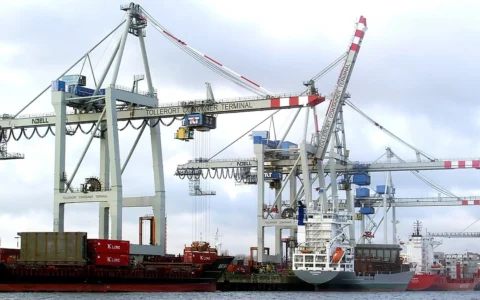 Container ships moored beneath large loading cranes at Container Terminal Tollerort in the Port of Hamburg, Germany.