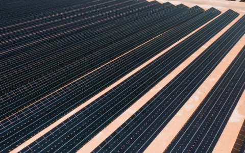 Rows of solar panels at a utility-scale solar farm.