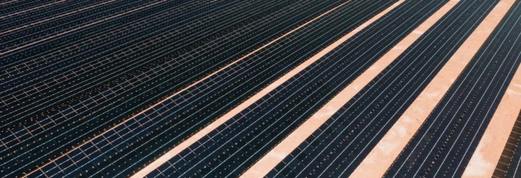 Rows of solar panels at a utility-scale solar farm.