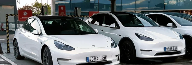 White Tesla Model 3 and Model Y vehicles parked side by side.