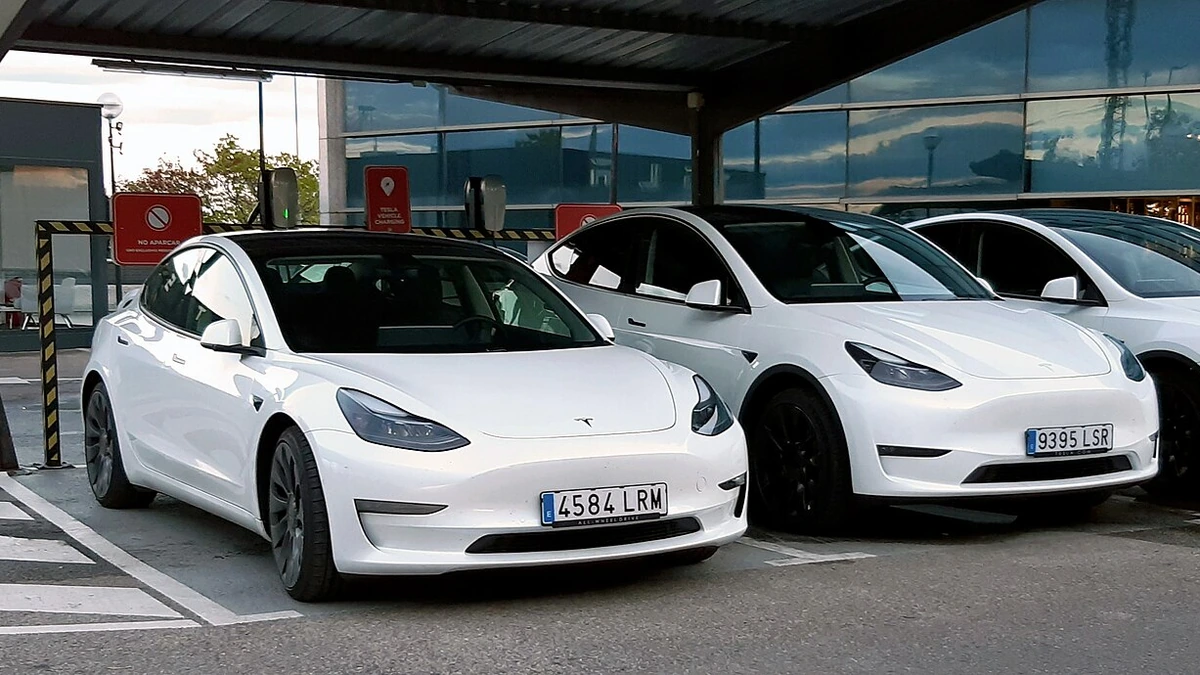 White Tesla Model 3 and Model Y vehicles parked side by side.