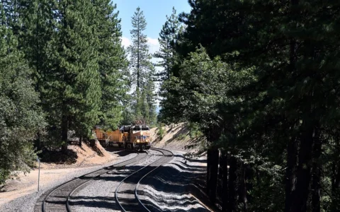 Union Pacific freight locomotives rounding a forested curve in California’s Sierra Nevada mountains.