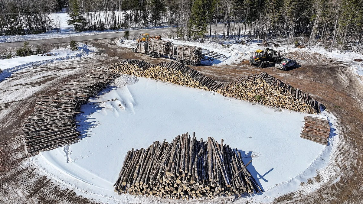 Aerial view of log stacks, a timber transport truck and loading machinery at a snowy timber yard in New Brunswick, Canada.