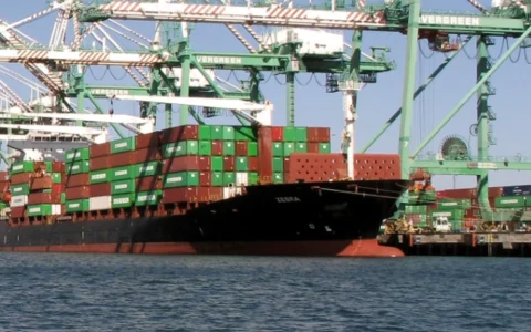 Container ship Zebra carrying stacked freight containers beneath cargo cranes at the Port of Los Angeles.