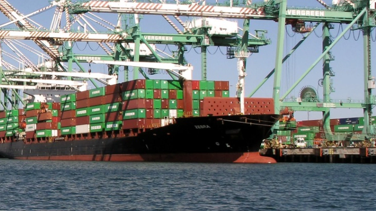 Container ship Zebra carrying stacked freight containers beneath cargo cranes at the Port of Los Angeles.