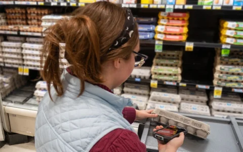 Grocery store employee scanning a carton of eggs with a handheld device in a Seattle supermarket.