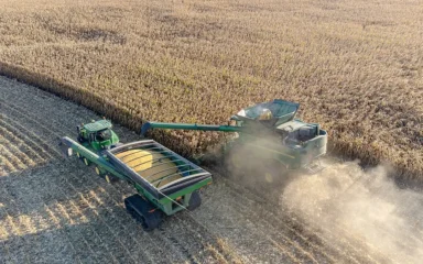 Aerial view of a combine harvester unloading yellow corn into a green grain cart during harvest in Minnesota.