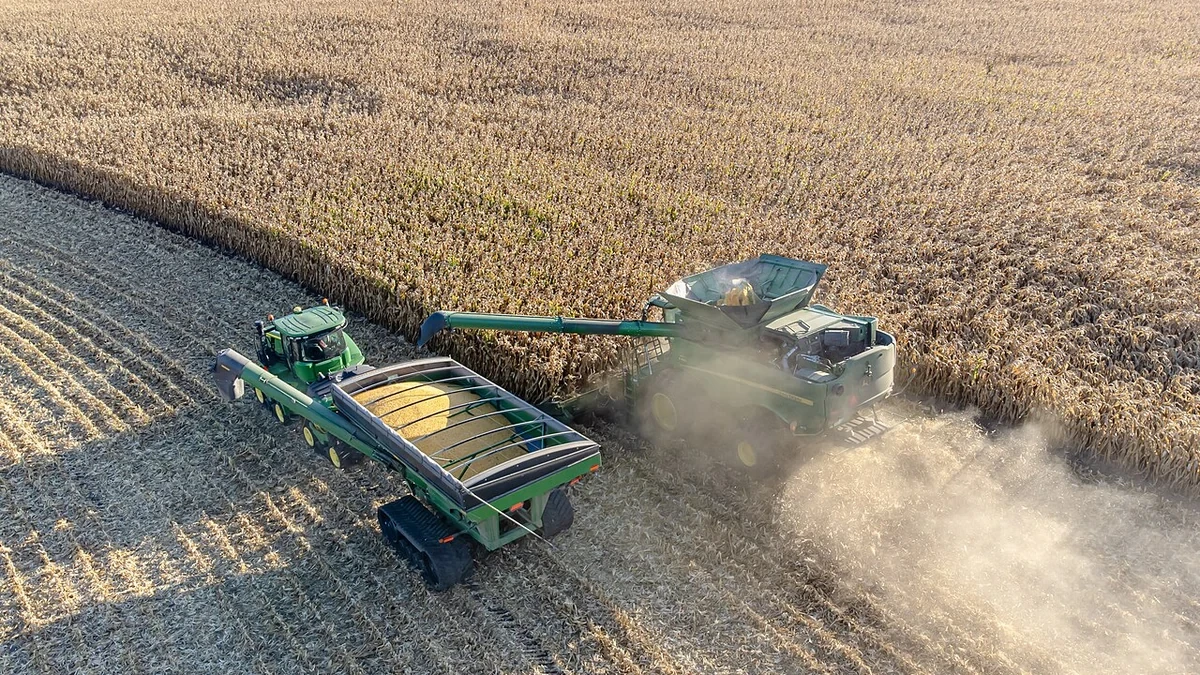 Aerial view of a combine harvester unloading yellow corn into a green grain cart during harvest in Minnesota.